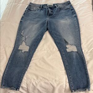 Buckle BKE Gabby jeans